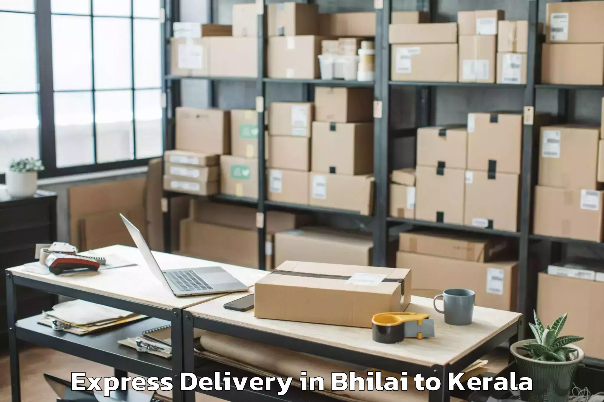 Top Bhilai to Allepey Express Delivery Available